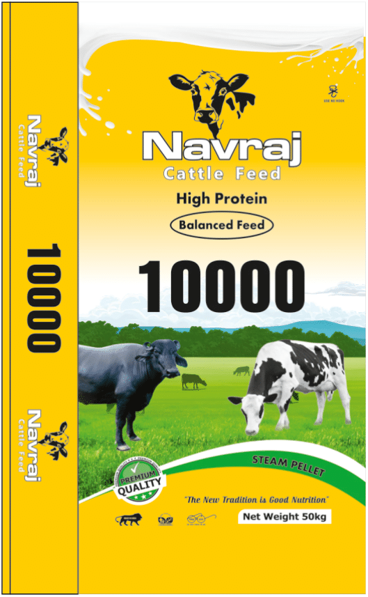 NavRaj 1000