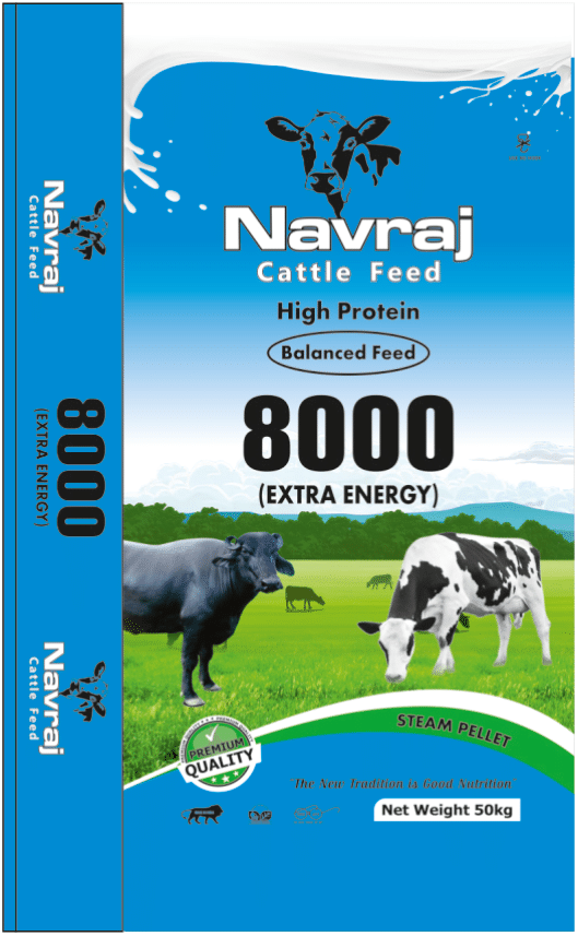 NavRaj 8000