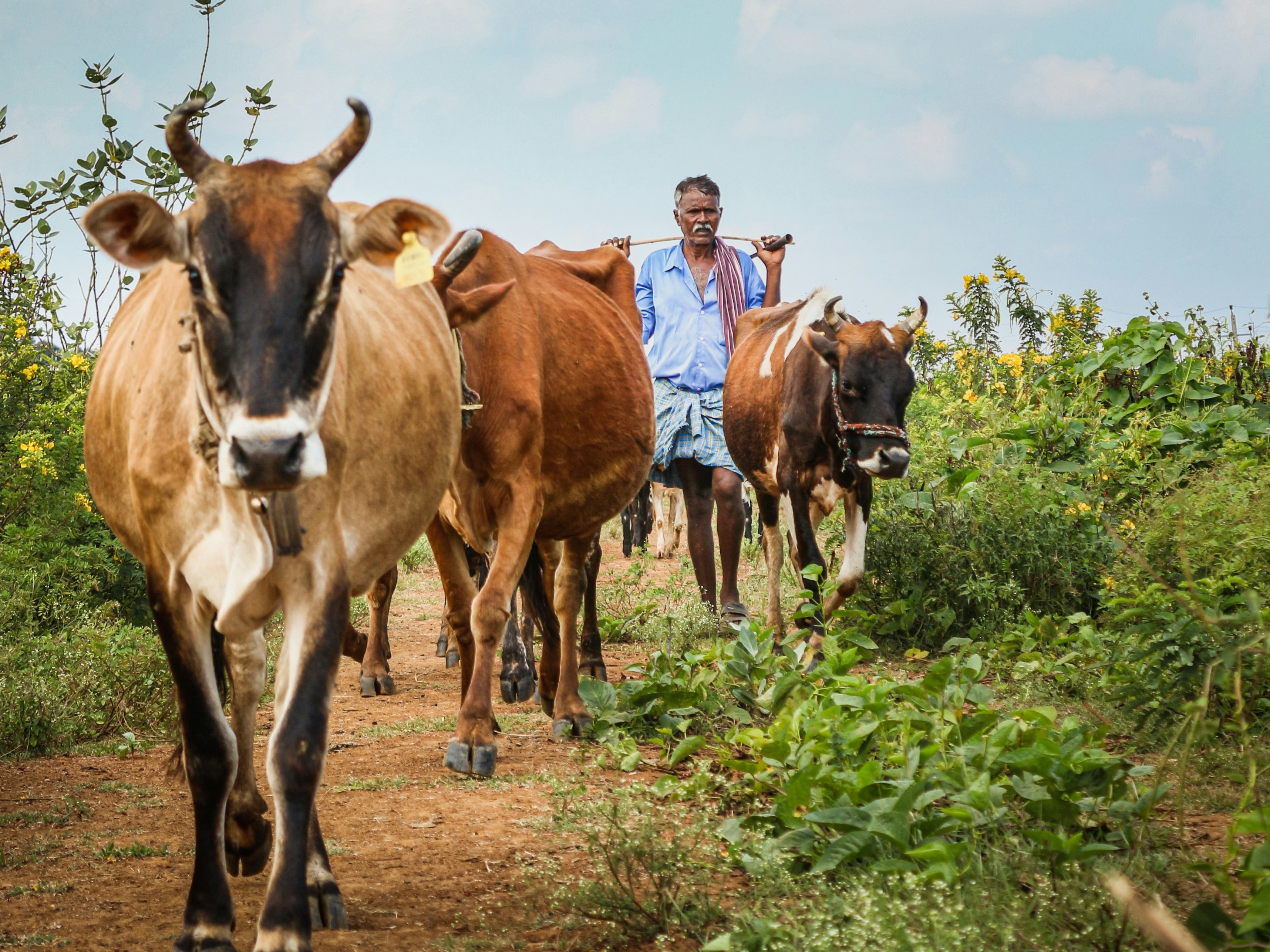 Trusted by Farmers