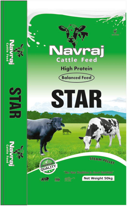 NavRaj Star